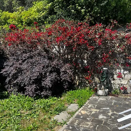 Appartement Santa Giulia *